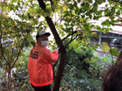 2020�N�@�g�g���̐X�ۑS����